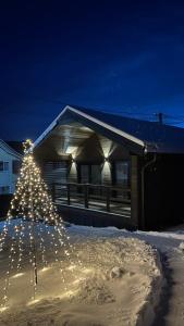 Роздоріжжя