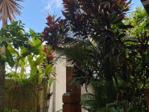 UBUD 1Bdr - Private pool Quiet and peaceful villa