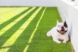 Villa Uminosora - Vacation STAY 43913v