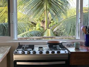 Your Surfside Penthouse Retreat in Punta de Mita