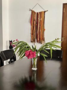 Villa Samara- Séjour de rêve