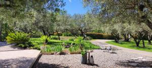 Villa provençale, piscine & jardin arboré