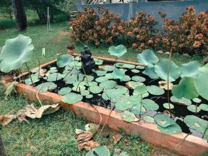 RKV Farm Stay
