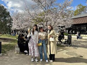 5min Noe-Uchindai Sta, 1min 711, WiFi, 50 TV