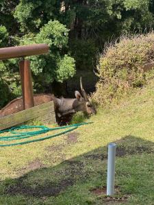 Natures View Cottage