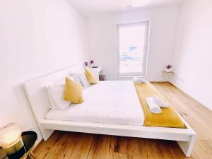 Relaxed City 1BR Apartment