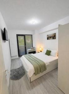 A B V Central Apartment- Unitate autorizata de Ministerul Turismului