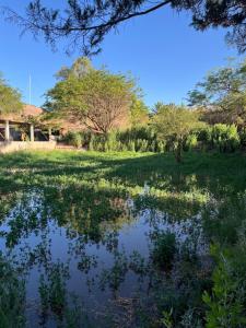 Hostal Piedrita de Rio