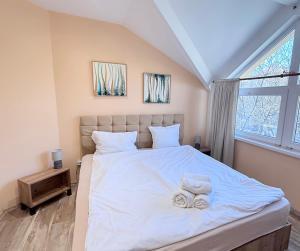 Central Apartments The Quiet Luxury