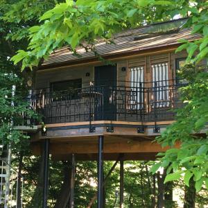 Baumhaus auf dem Kellerberg