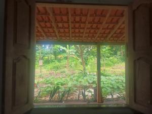 Casa na floresta cósmica