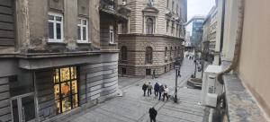 Central Apartment Toplica