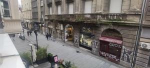 Central Apartment Toplica