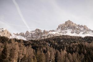 Alma Alpina new opening adults only