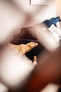 Big Tartiflat, Arc 1950, 2 bed ski-in ski-out