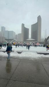 DOWNTOWN-BMO Field Stay-Next to Transit-Restaurants-Station