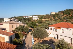 The Yellow Veranda - Close Ancient Olive Tree Vouves