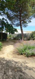 Domaine Familial Océan & Forêt avec Piscine
