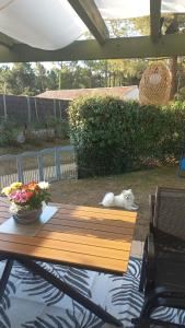 Domaine Familial Océan & Forêt avec Piscine