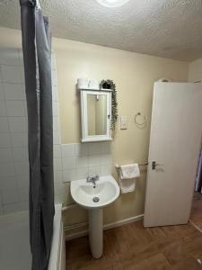 Tranquil 1BD in Edmonton