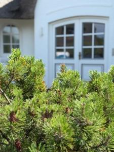 Ocean-View-II-Holiday-Apartments-Sylt