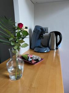 Chaleureux appart, proche de La Loire avec parking