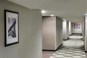 Peachtree Hotel Midtown Atlanta