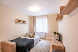 Modern Downtown Retreat