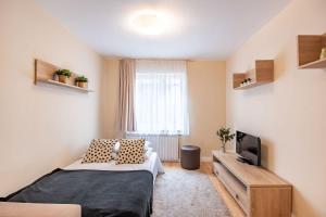 Modern Downtown Retreat