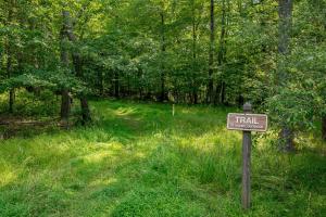 Into The Woods by Railey Vacations