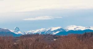 KING SUITE a luxury stay