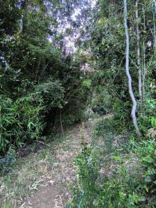 cabaña en la montaña