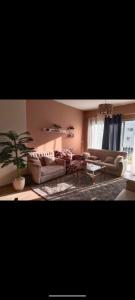 الشيخ زايد في القاهرة