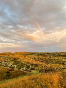 Find Peace In Architect-Designed House In Dunes