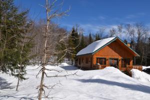 Chalet Le Crépuscule SPA, BILLARD, FOYER, SENTIERS PRIVES