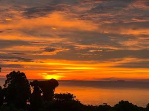 Jungle of Peace Guesthouse