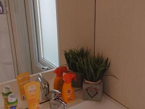 Mobil-home pour 6 pers avec terrasse - API-1-52-1434
