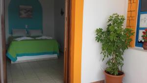 Studios Akrogialli Lipsoi-Island Greece