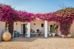 Villa Charming House