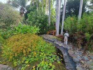 Sub-Tropical Paradise Retreat Willow Creek Cabin with Access to Sauna