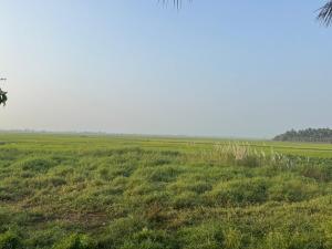 Puranattukara- Serene Stay by the Rice Fields