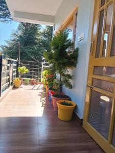 RAMA Narayan Homestay jageshwar