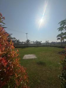 MJ paddy view homestay