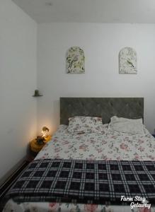 BeeCare Life Syntropic Farm - Nature-inspired sanctuary