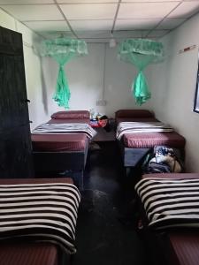 Cozy House Hostel