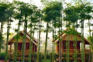 Baansuanpai Noppakao