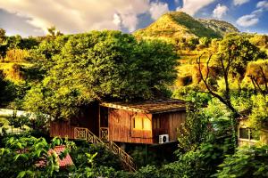 The Tree House Resort, Jaipur- A Club Mahindra Associate