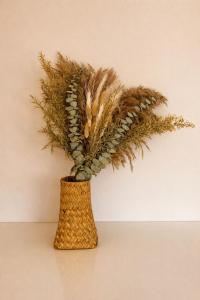 The Cosy Sunset Beach Resort