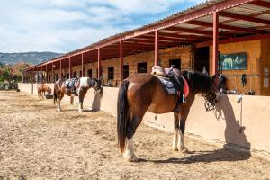Horse Farm House - 5 Min to the Beach