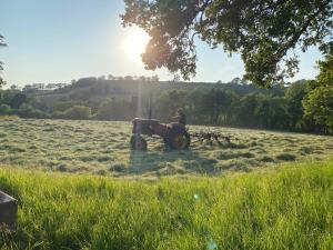 Oakies Farm Stays XL